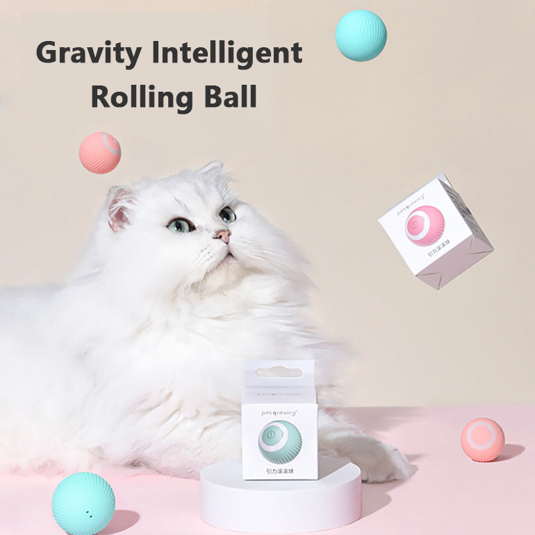 智能獵物球：喚醒主子嘅獵食本能！Smart Chase Ball: Your Cat's New Hunting Adventure!