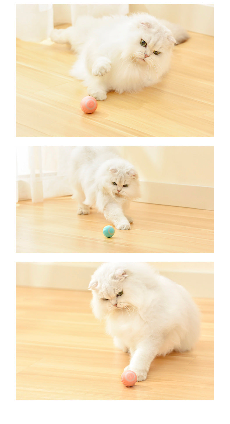 智能獵物球：喚醒主子嘅獵食本能！Smart Chase Ball: Your Cat's New Hunting Adventure!