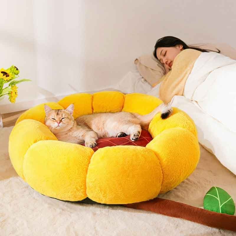 主子豪宅：超柔軟精品窩墊 Snuggle Paradise: Plush Pet Beds with Personality